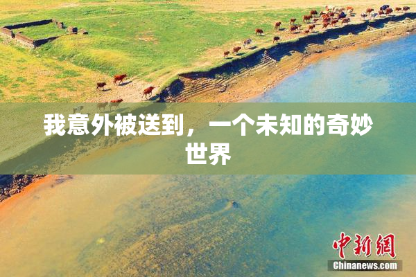 我意外被送到，一个未知的奇妙世界