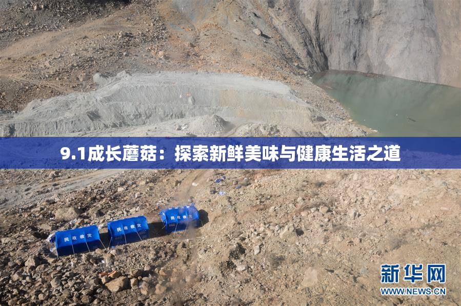 9.1成长蘑菇：探索新鲜美味与健康生活之道