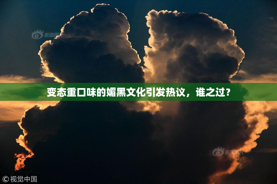 变态重口味的媚黑文化引发热议，谁之过？