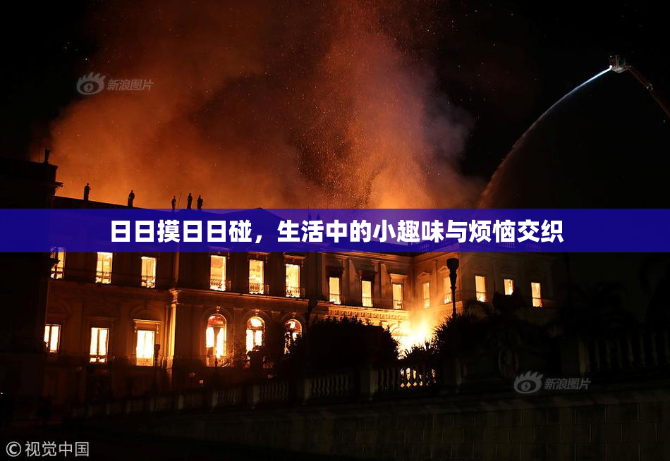 日日摸日日碰，生活中的小趣味与烦恼交织