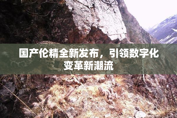 国产伦精全新发布，引领数字化变革新潮流