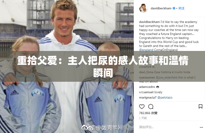 重拾父爱：主人把尿的感人故事和温情瞬间
