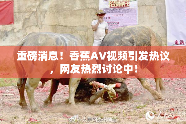 重磅消息！香蕉AV视频引发热议，网友热烈讨论中！
