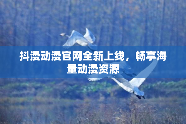 抖漫动漫官网全新上线，畅享海量动漫资源