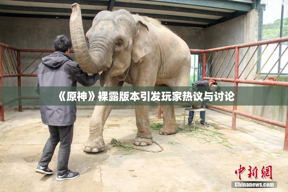 《原神》裸露版本引发玩家热议与讨论