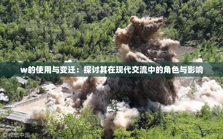 w的使用与变迁：探讨其在现代交流中的角色与影响