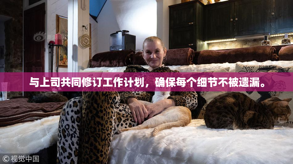 与上司共同修订工作计划，确保每个细节不被遗漏。