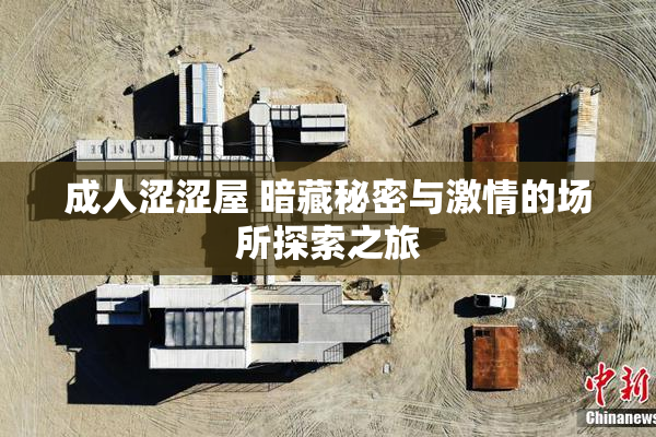 成人涩涩屋 暗藏秘密与激情的场所探索之旅