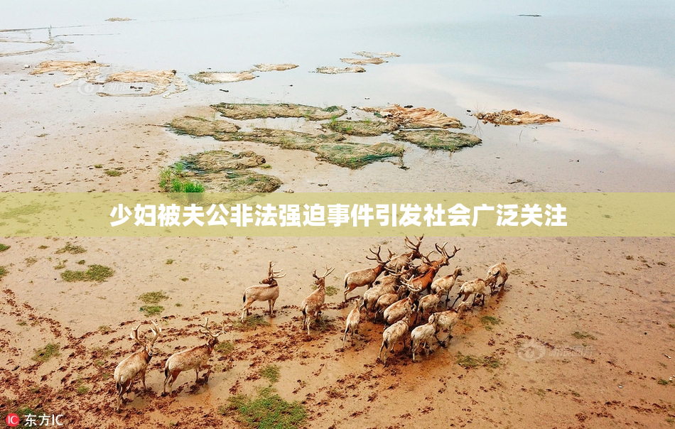 少妇被夫公非法强迫事件引发社会广泛关注