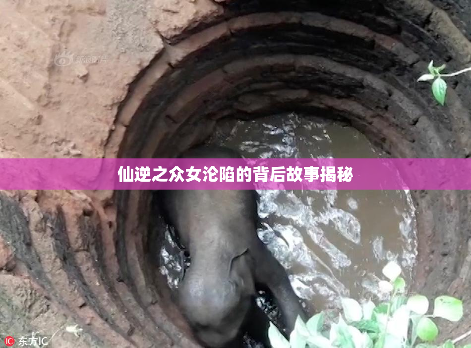仙逆之众女沦陷的背后故事揭秘
