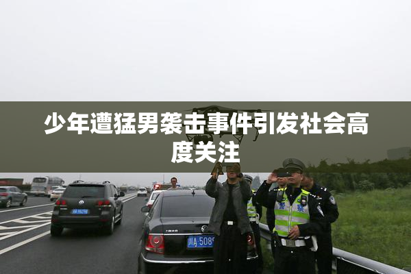 少年遭猛男袭击事件引发社会高度关注