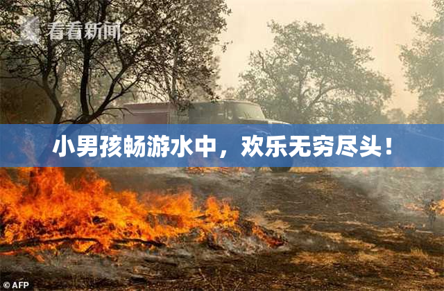 小男孩畅游水中，欢乐无穷尽头！