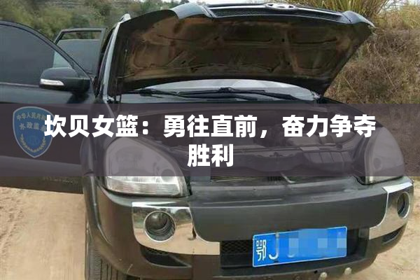 坎贝女篮：勇往直前，奋力争夺胜利