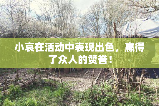 小哀在活动中表现出色，赢得了众人的赞誉！