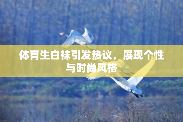 体育生白袜引发热议，展现个性与时尚风格