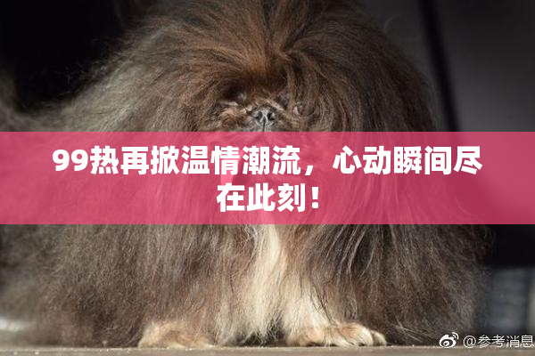 99热再掀温情潮流，心动瞬间尽在此刻！