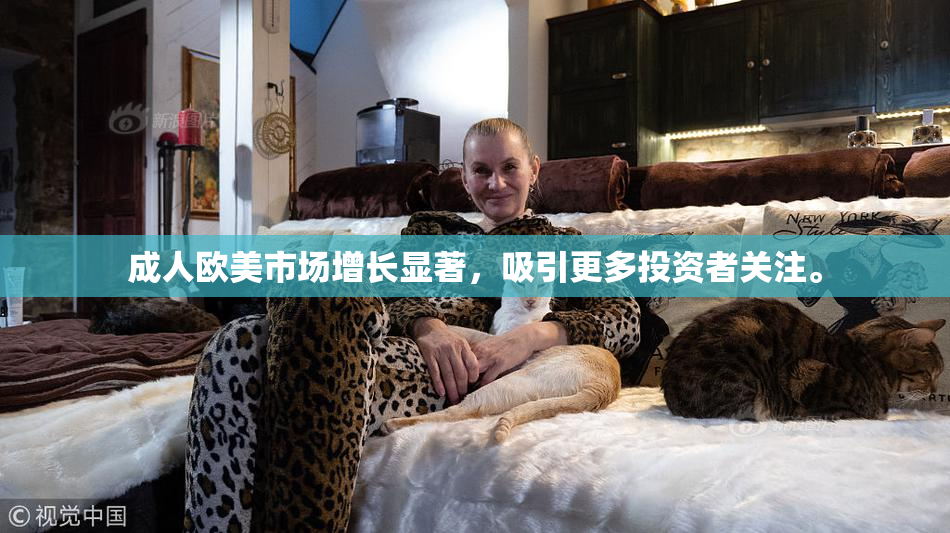 成人欧美市场增长显著，吸引更多投资者关注。