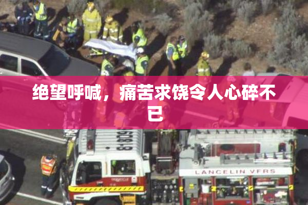 绝望呼喊，痛苦求饶令人心碎不已