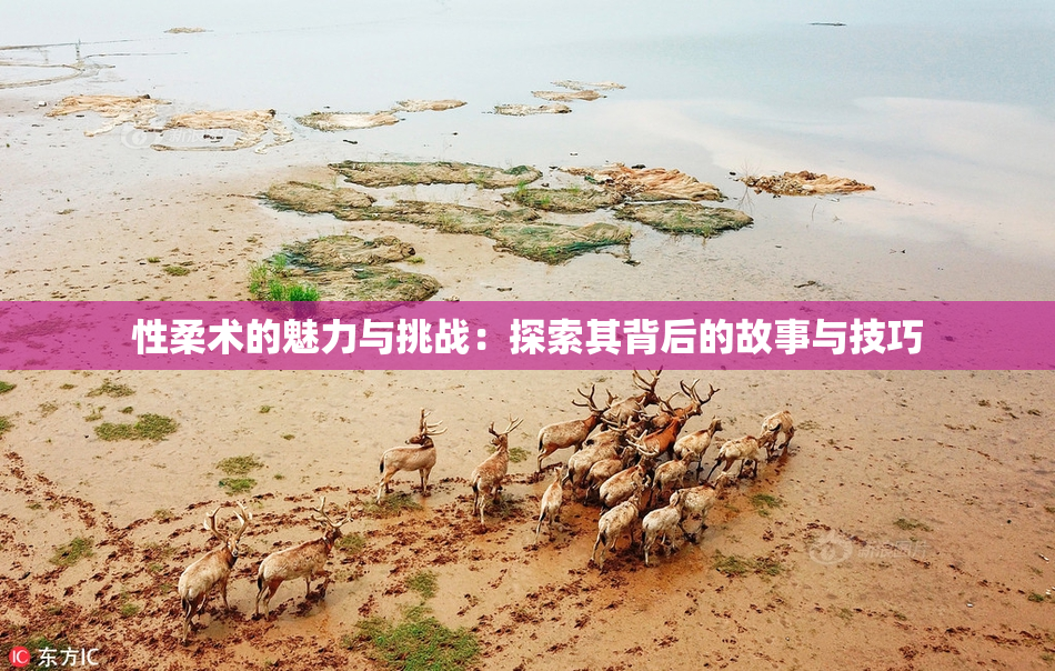 性柔术的魅力与挑战：探索其背后的故事与技巧