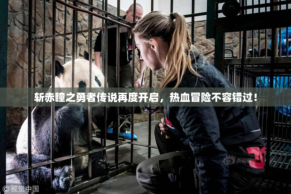 斩赤瞳之勇者传说再度开启，热血冒险不容错过！