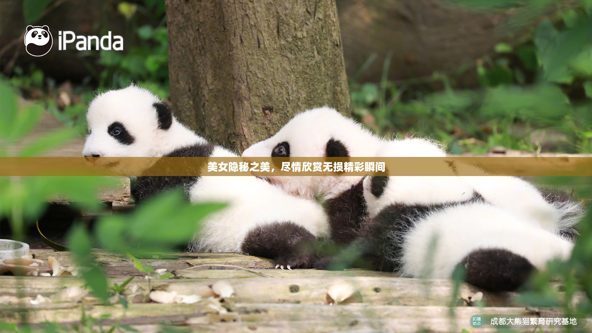 美女隐秘之美，尽情欣赏无损精彩瞬间