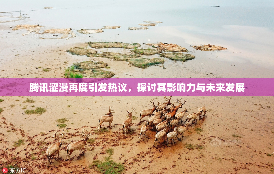 腾讯涩漫再度引发热议，探讨其影响力与未来发展