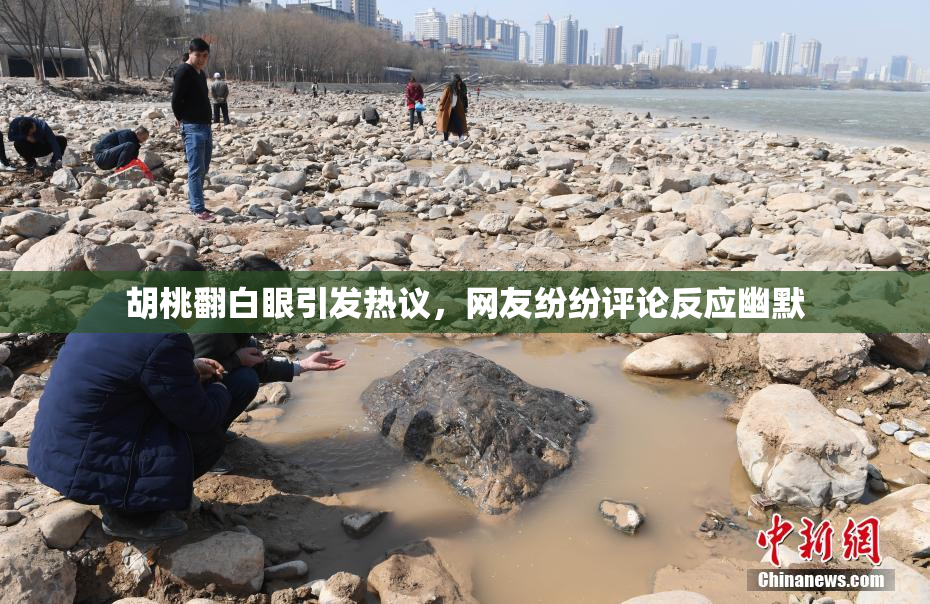 胡桃翻白眼引发热议，网友纷纷评论反应幽默