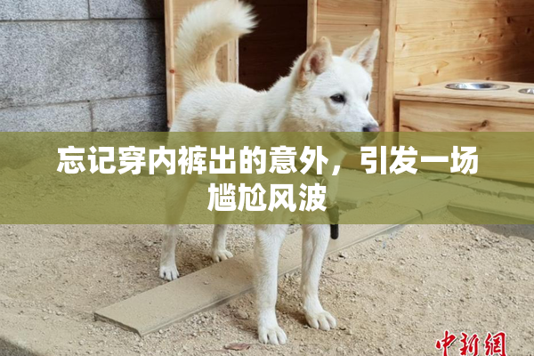 忘记穿内裤出的意外，引发一场尴尬风波