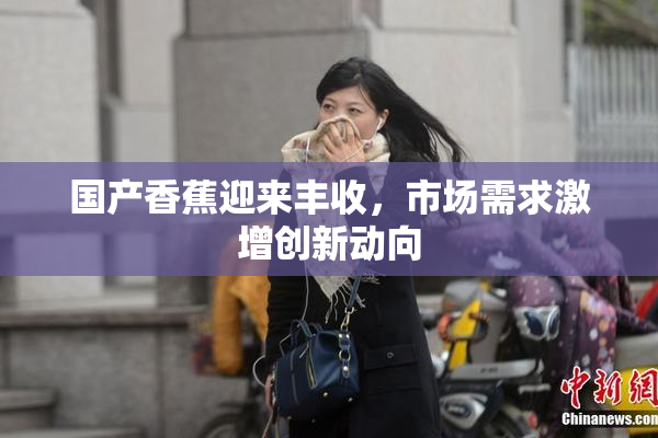 国产香蕉迎来丰收，市场需求激增创新动向