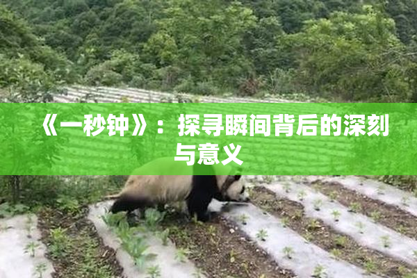 《一秒钟》：探寻瞬间背后的深刻与意义