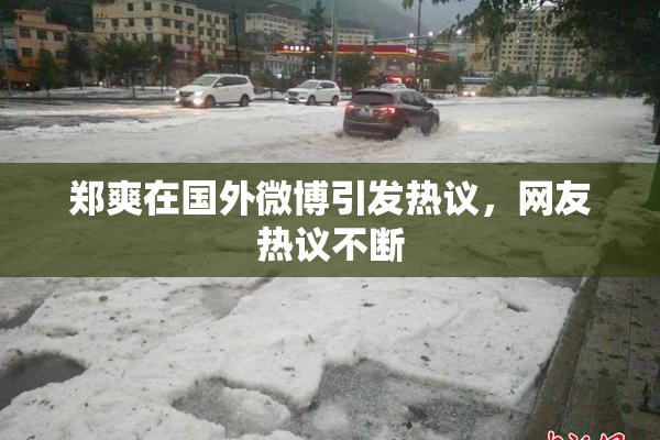 郑爽在国外微博引发热议，网友热议不断