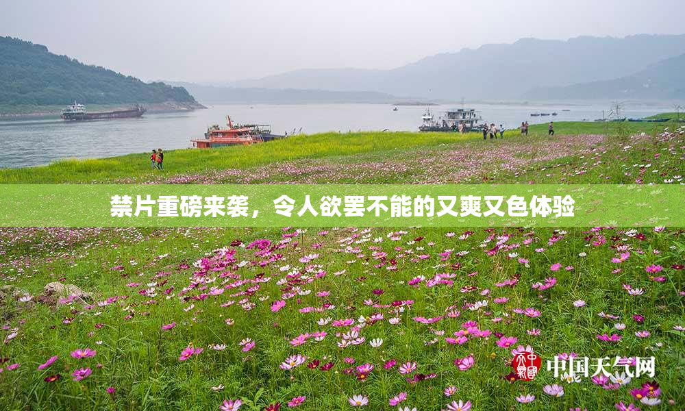 禁片重磅来袭，令人欲罢不能的又爽又色体验