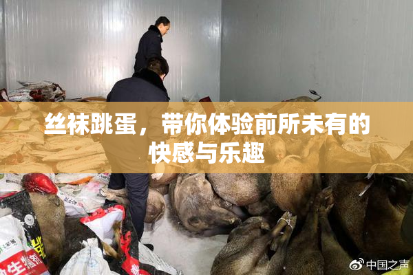 丝袜跳蛋，带你体验前所未有的快感与乐趣