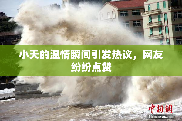 小天的温情瞬间引发热议，网友纷纷点赞