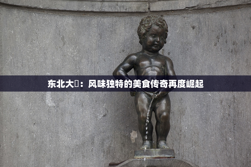 东北大鷄：风味独特的美食传奇再度崛起