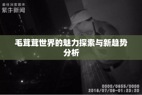 毛茸茸世界的魅力探索与新趋势分析