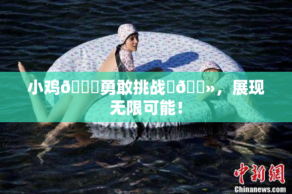 小鸡🐔勇敢挑战‌🐻，展现无限可能！