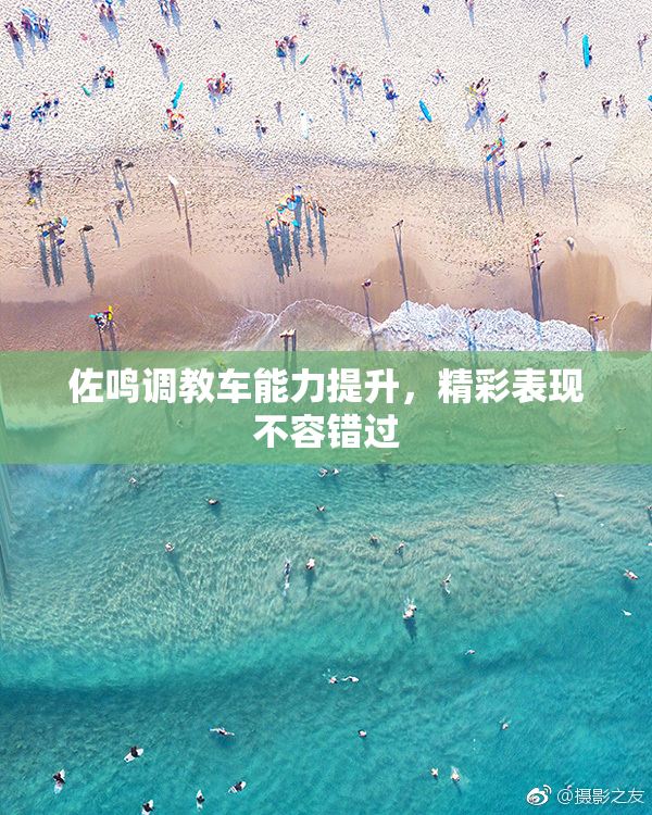 佐鸣调教车能力提升，精彩表现不容错过