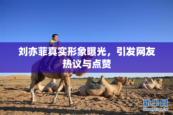 刘亦菲真实形象曝光，引发网友热议与点赞