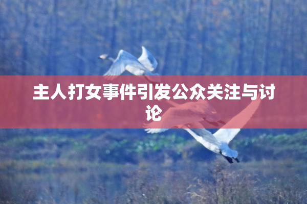 主人打女事件引发公众关注与讨论
