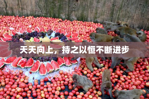 天天向上，持之以恒不断进步