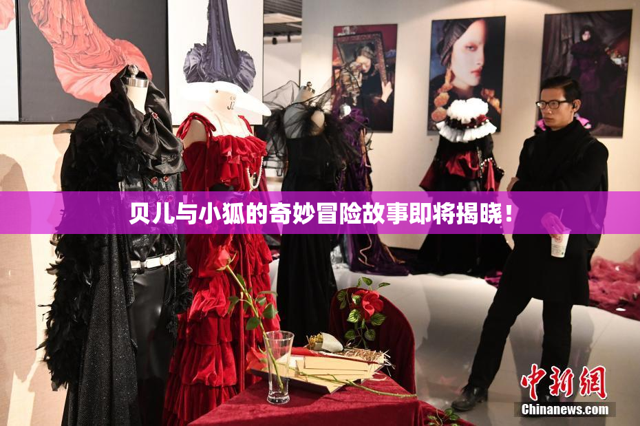 贝儿与小狐的奇妙冒险故事即将揭晓！