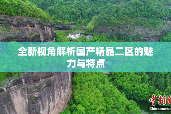 全新视角解析国产精品二区的魅力与特点
