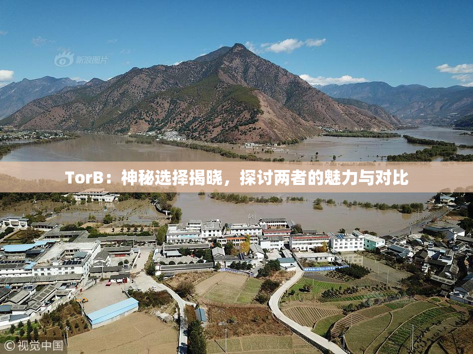 TorB：神秘选择揭晓，探讨两者的魅力与对比