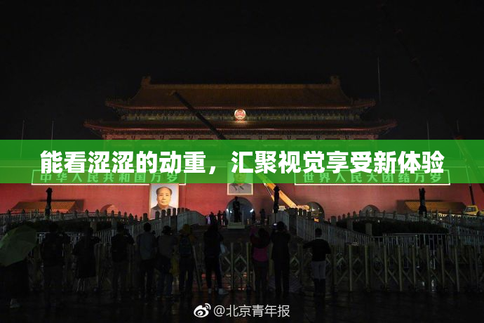 能看涩涩的动重，汇聚视觉享受新体验
