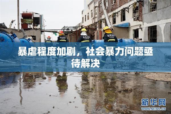 暴虐程度加剧，社会暴力问题亟待解决