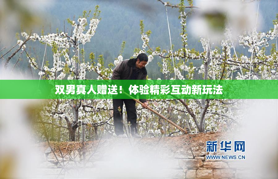 双男真人赠送！体验精彩互动新玩法