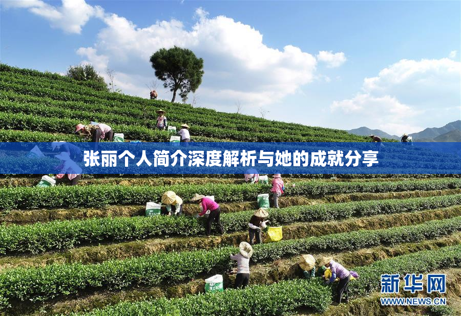 张丽个人简介深度解析与她的成就分享