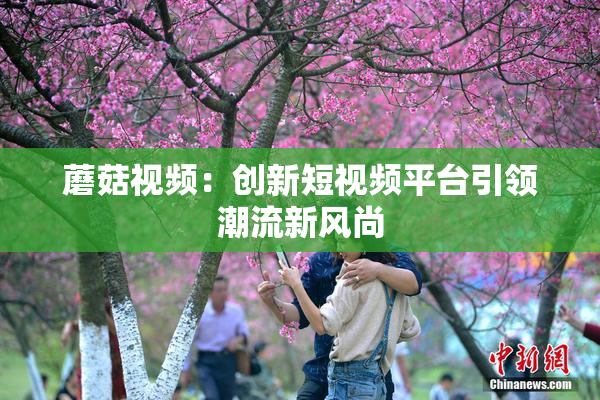 蘑菇视频：创新短视频平台引领潮流新风尚