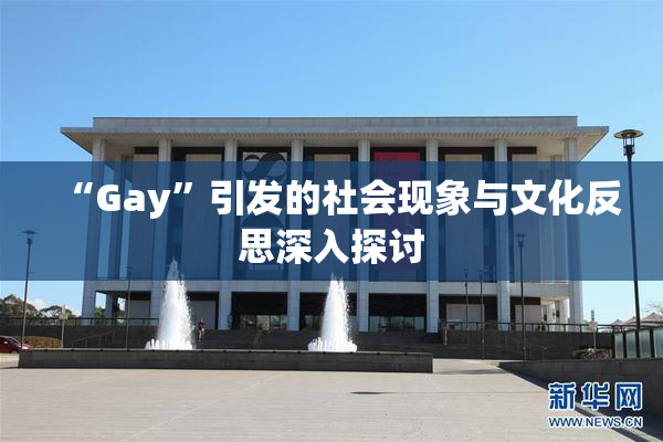 “Gay”引发的社会现象与文化反思深入探讨